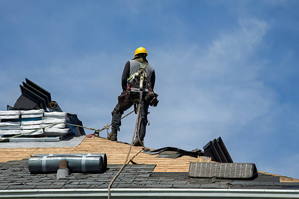 Professional Roof Replacement technician working in Voltaire, ND